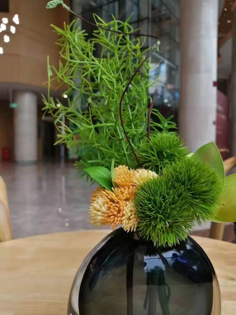 中国康养 (3)
